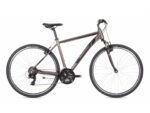 Ideal Moovic Trekking Bike