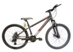 energy enigma 26 blue